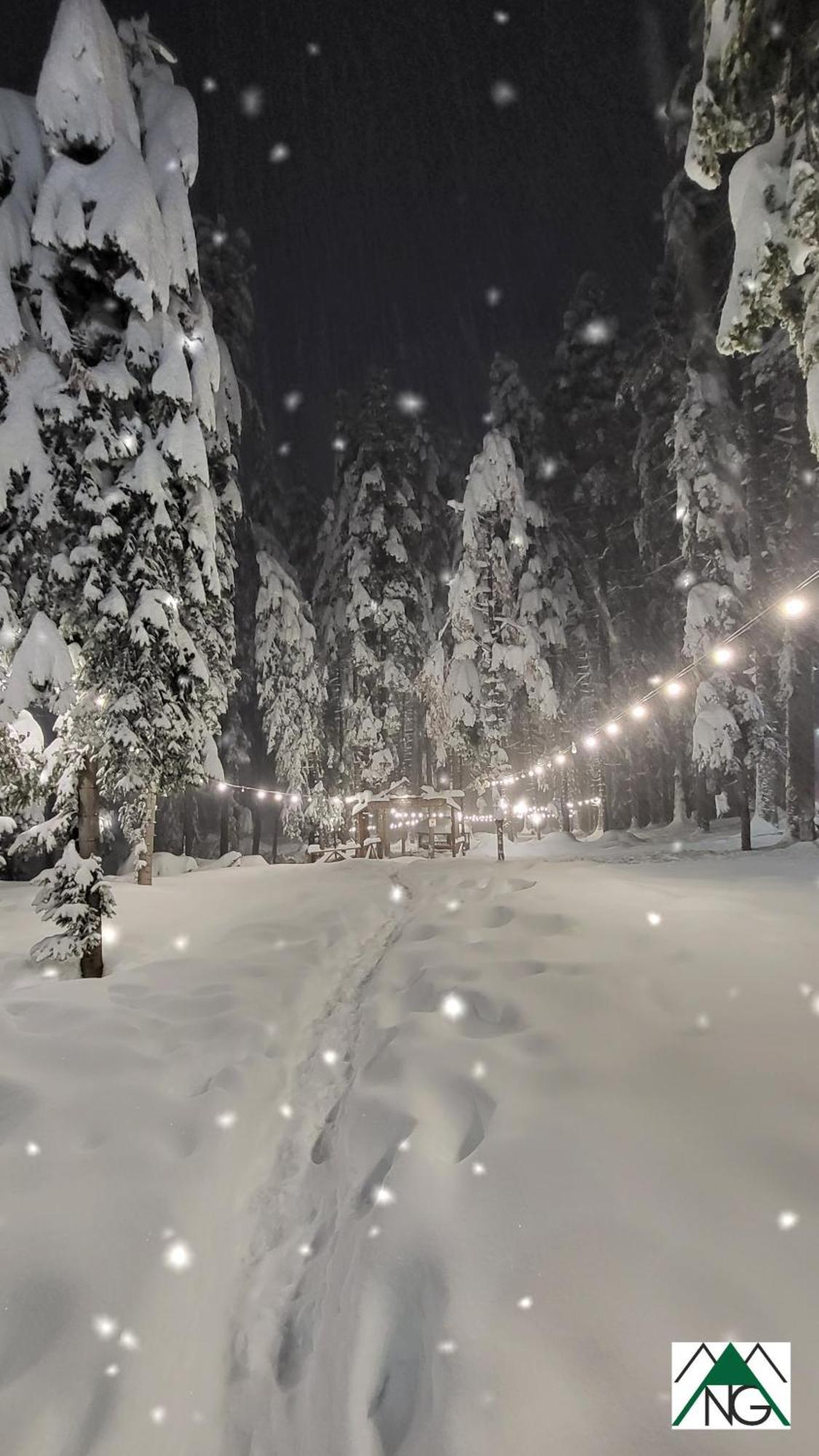 Pinewood Ang Luxurious Apartment A43, Borovets Gardens Exterior foto